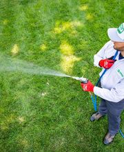 Natura Pest Control image 11