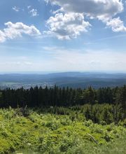 Kleines Berghaus Braunlage Bild 6