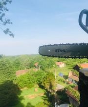 Julien Machefer Elagage EI image 8