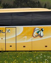 Werner Hummel Omnibusverkehr GmbH - Auto Hummel Kirchzarten Bild 7