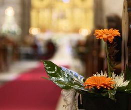 foto-blesa-flores-03.jpg