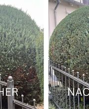 Gartenpflege Venohr Bild 2