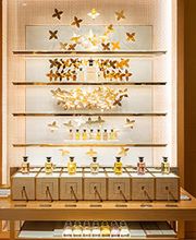 Louis Vuitton Rome Etoile immagine 8