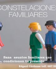 edgarcardenasconstelacionesfamiliaresportada.jpg