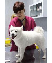 Veterinario Alcorcón imagen 3