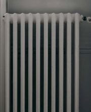 Tremel Nicolas image 3