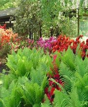 Oxalie Jardins Services image 11