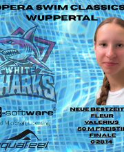 White Sharks e.V. Bild 16