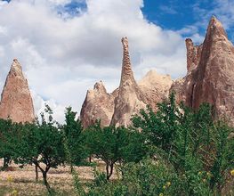 terra sancta tours ag Bild 1