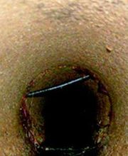 Dos-F Desatrancos imagen 5