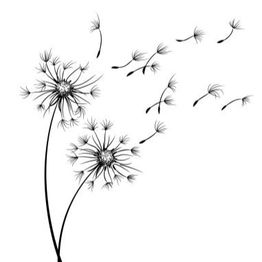 Die Waldfrauen