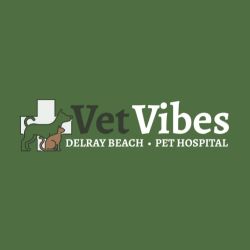 Vet Vibes Pet Hospital