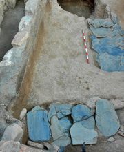 IN SITU SCP imagen 6