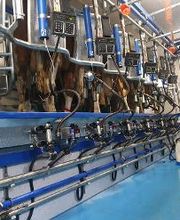 DSC Vial Sàrl Bild 12