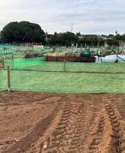 Huertos Santa ROSALÍA imagen 7