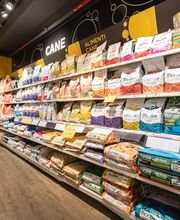 Arcaplanet immagine 2