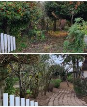 JULIEN LOTTE ESPACES VERTS image 16