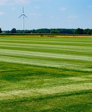 Rollrasen - Henning Hagedorn Bild 6