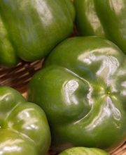 SARL Tom'Saveur image 1