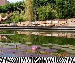 Zebra AG Garten & Pool Bild 2