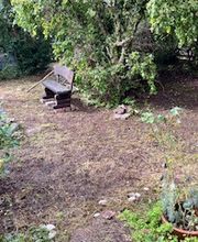 Grundstückspflege und Motorsägenkunst Colin Sand Bild 17