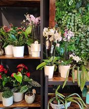 Blumengeschäft Blütenträume Bild 3