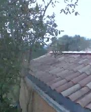 Bisiaux Georges image 4