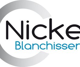 Nickel image 2