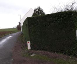 Presta Jardins image 3