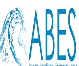 Abes SARL image 1