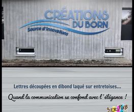 SERIPUB L IMPRESSION FOLLE image 1