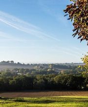 Bianchini EARL image 5