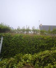 Les Jardins Secrets image 5
