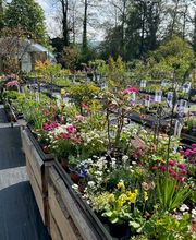 Gärtnerei Vogel Bild 2