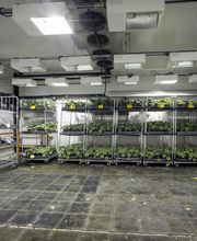 Sabatier Patrick SARL image 14