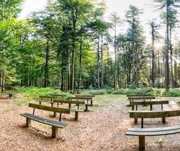 FriedWald Cloppenburg Bild 10