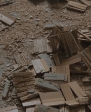 Panther Service Raci Bild 3