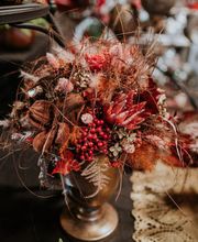 Gerber & Nyffeler Pflanzen Floristik AG Bild 8