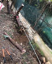 Evtp Jardins EURL image 15