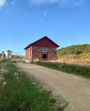 THIERRY MARTIN image 2