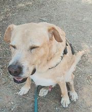 Etologo.es imagen 12