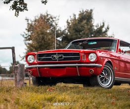 Mustang Oldtimer 1965