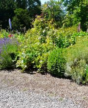 Röver GartenCon Garten- und Landschaftsbau Bild 4