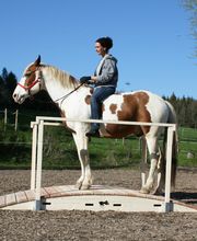 Working-Equitation-Equipment by Mammut Raufen Bild 1
