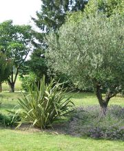 Daucourt Didier image 1