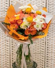 JB orchids imagen 13