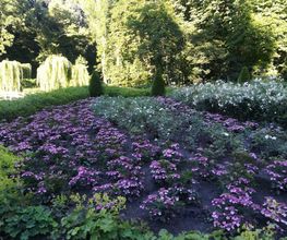 Hajo Rumpf Garten- und Landschaftsbau GmbH Bild 6