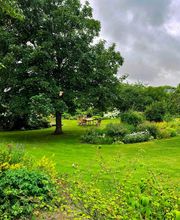 AEC Espaces Verts image 6