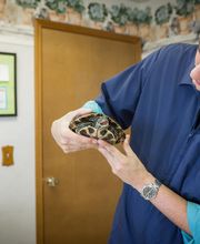 Lakewood Animal Hospital image 4