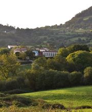 Sidra Riestra imagen 14